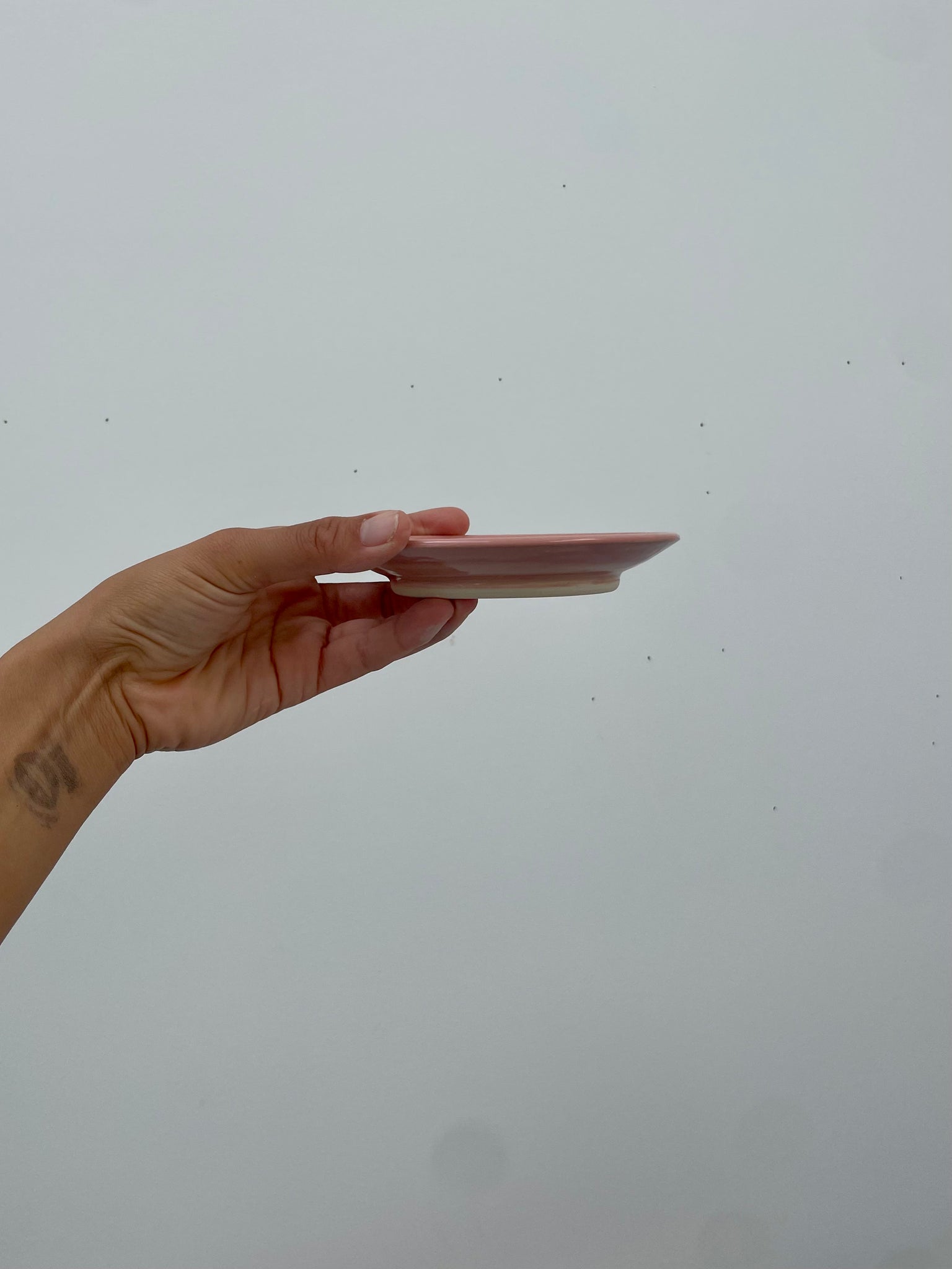 Snack Plate 9