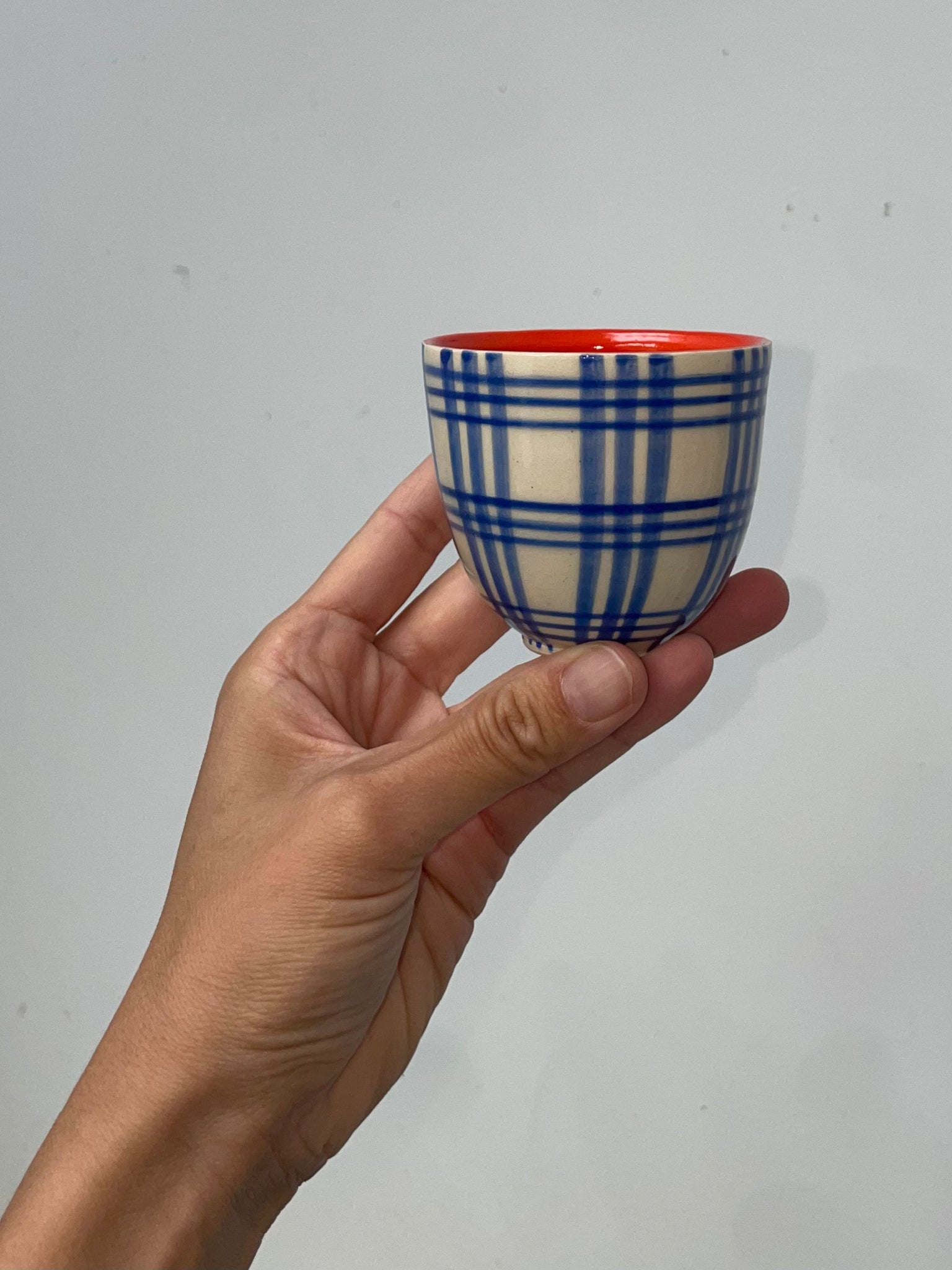 CUP blue plaid