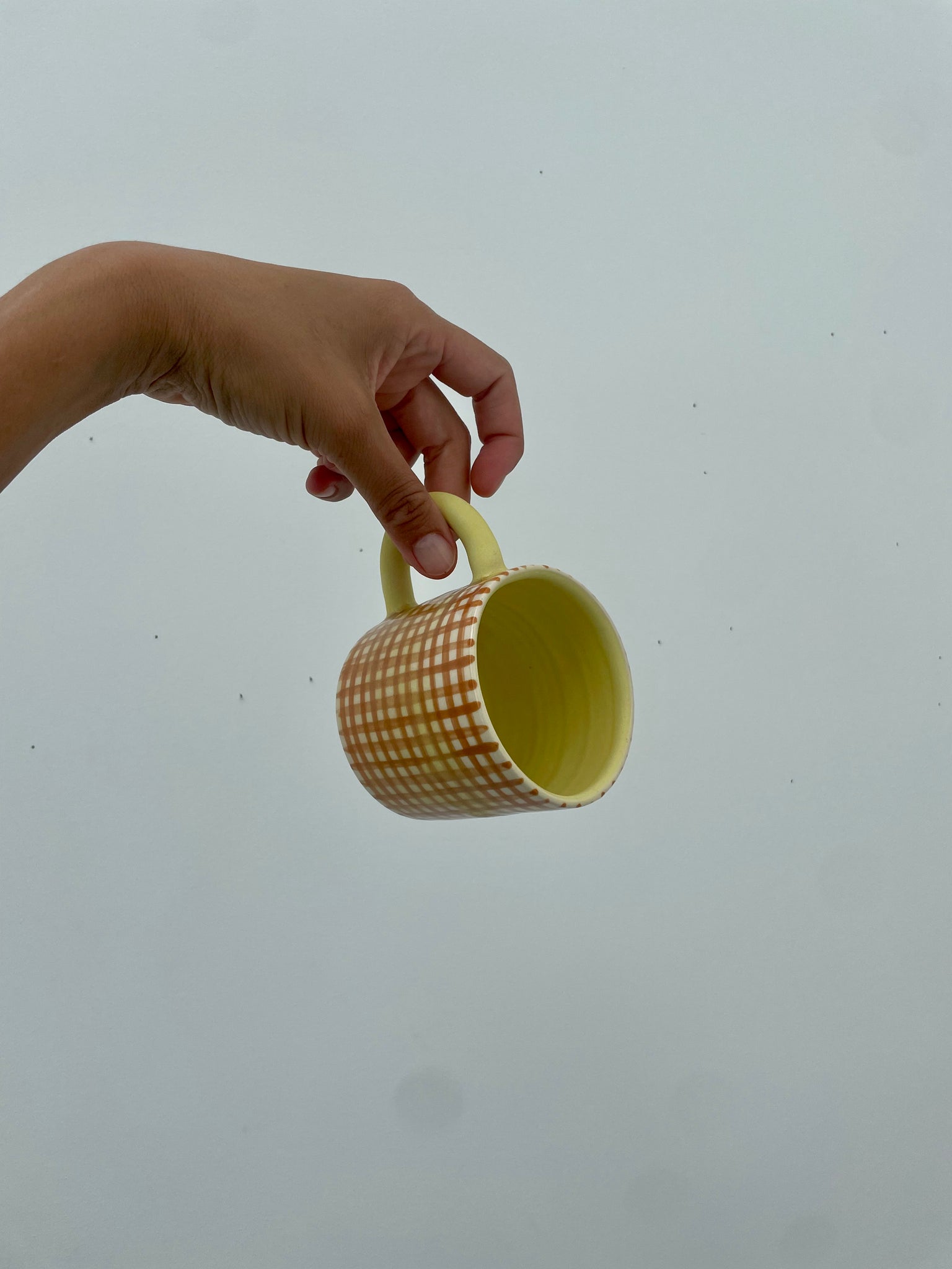 Brown Tight Grid Mug 4